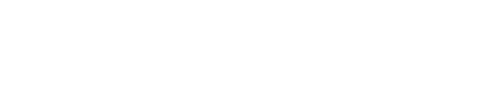 ArkForte Logo